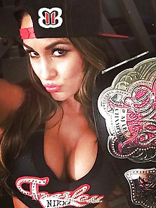 Nikki Bella Instagram & Twitter Pics (5)