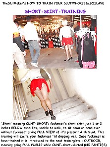 Short Skirt Training 01