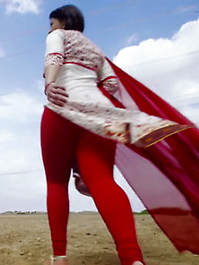 Indian Leggings Vii