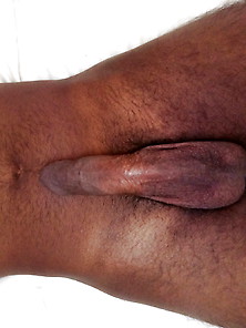 Lankan Cock