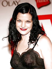 Pauley Perrette