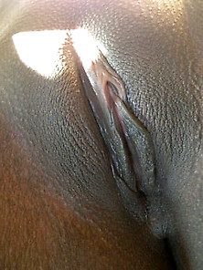 Smooth Black Pussy