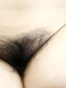 Hairy Pussy