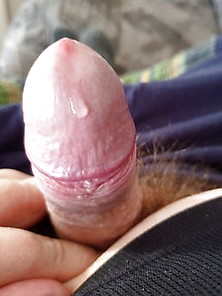 Precum