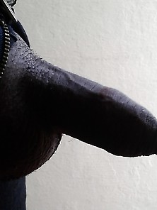 My Dick