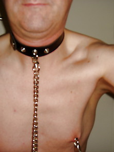 Le Collier Du Chien