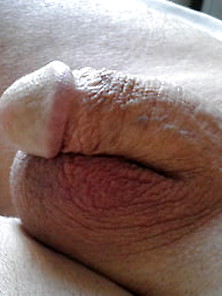 My Cock