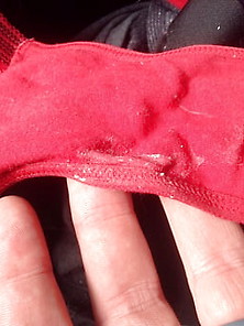 Wife's Dirty Panties..