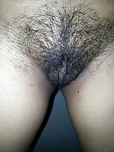 My Gf Pussy