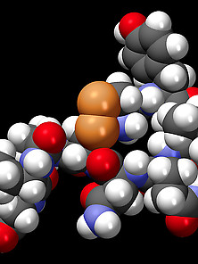 Oxytocin: 'the Empathy Molecule' Slideshow