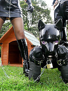 Petplay