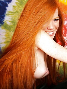 Redheads - 3