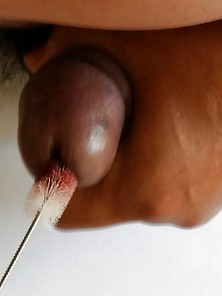 Piercing1970 Brusch In Peehole Cock