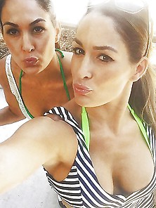 The Bella Twins