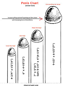 Grow Your Penis Fast Black Guys!