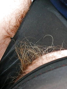 Hairy Panties